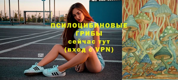 гидра Алзамай