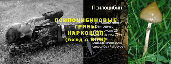 мет Алексин