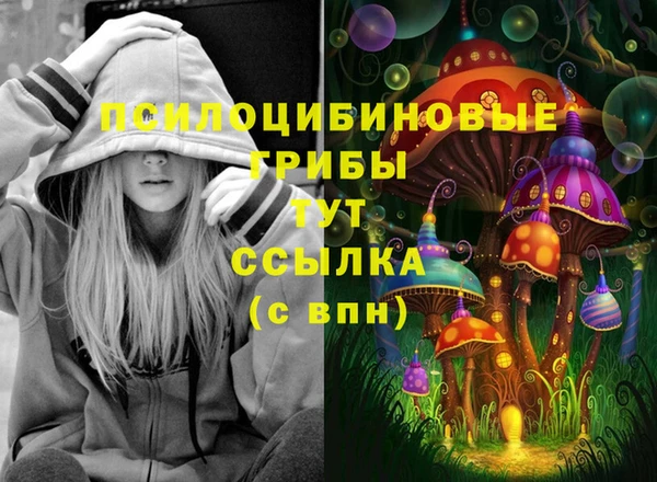 молекула духа Алексеевка