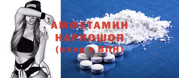 мет Алексин