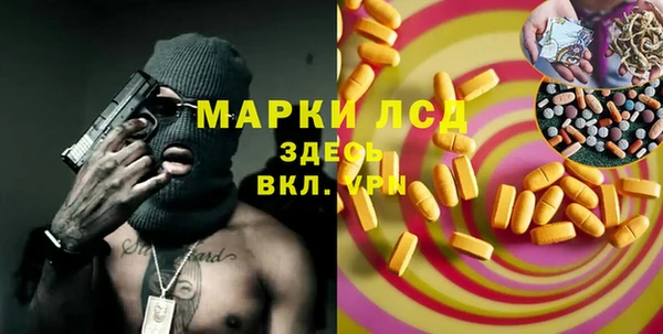 мет Алексин