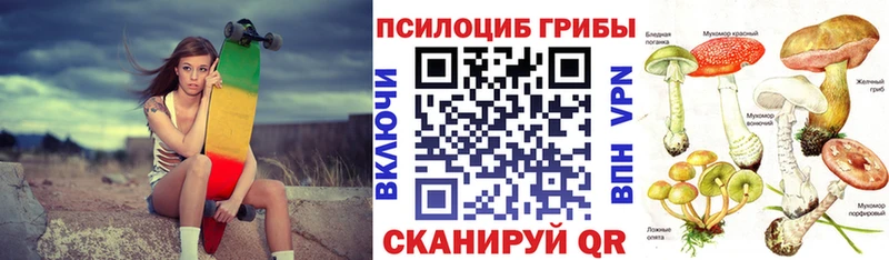 Купить где  Богданович  Псилоцибиновые грибы мухоморы 